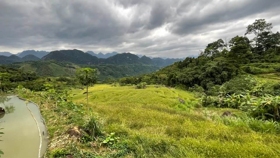 Northern Vietnam Biking Tour 7 Days